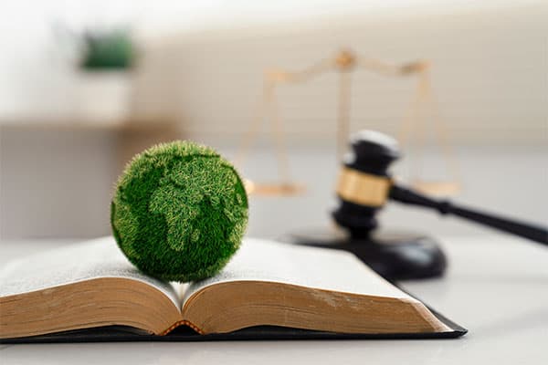 Erdkugel auf Gesetzbuch symbolisiert Neuerungen im VerpackG seit 2022