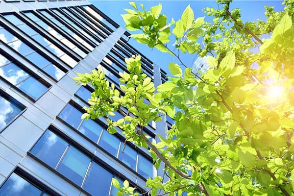 Gebäude Zentrale Stelle Verpackungsregister - Blühender Baum